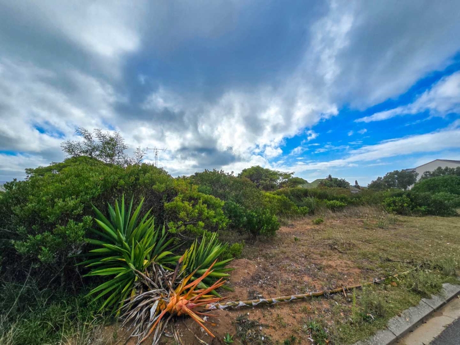 0 Bedroom Property for Sale in Stilbaai Wes Western Cape